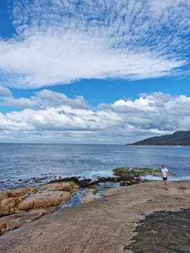 Tasmania's East Coast Explorer Day Tour (~ 14 hours)