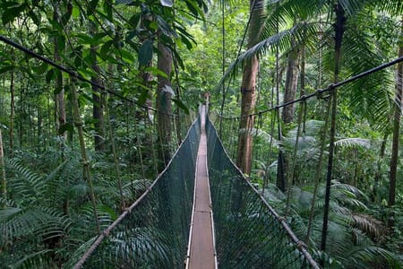 Shared Taman Negara Nature Tour with Lata Berkoh Falls