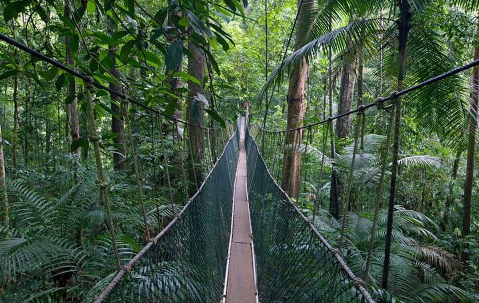 Taman Negara Nature Tour with Lata Berkoh Falls Visit