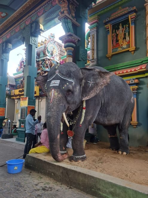 Pondicherry Private Day Tour with Car, Guide and Cycle Ride photo 2
