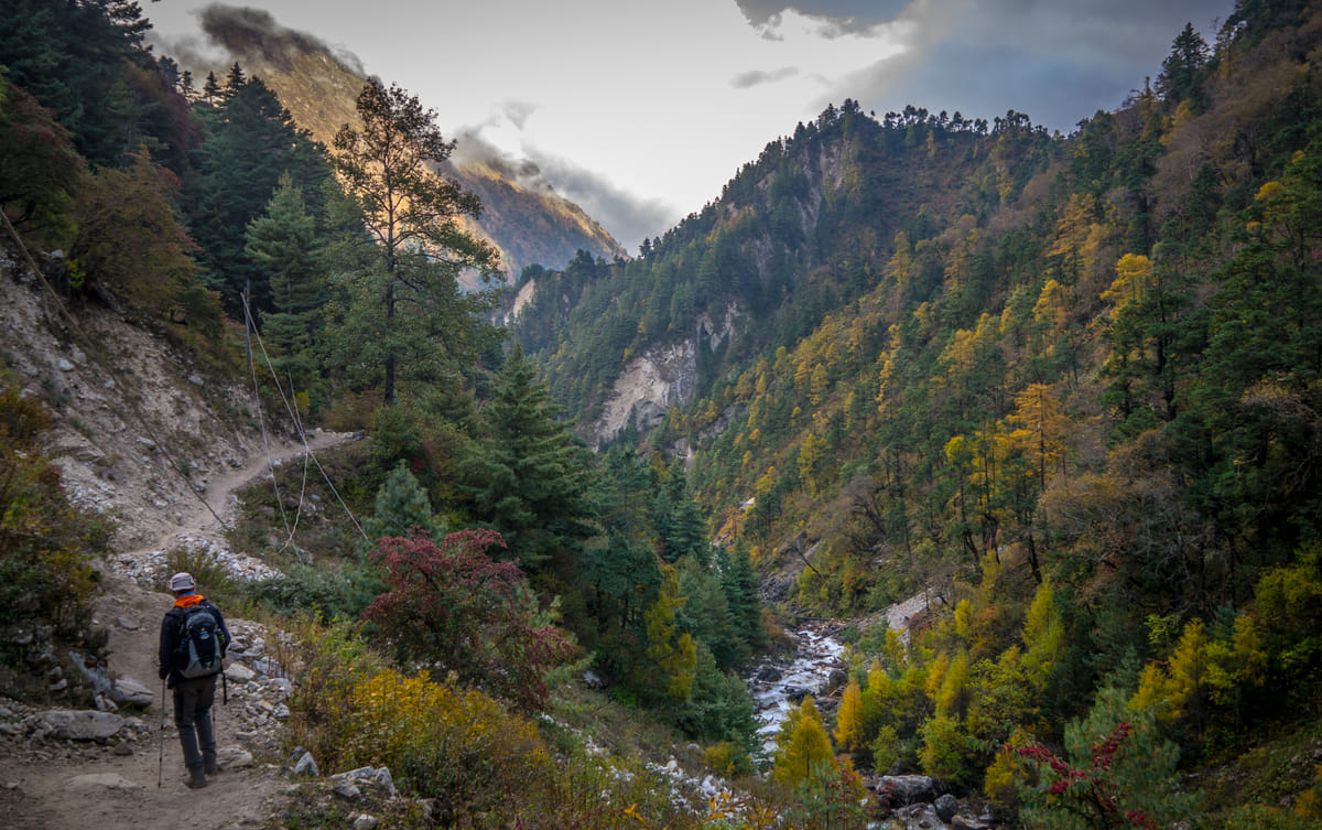 Manaslu Rupina La Pass Homestay Trek- 20 Days