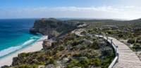 The Peninsula and Cape of Good Hope 7