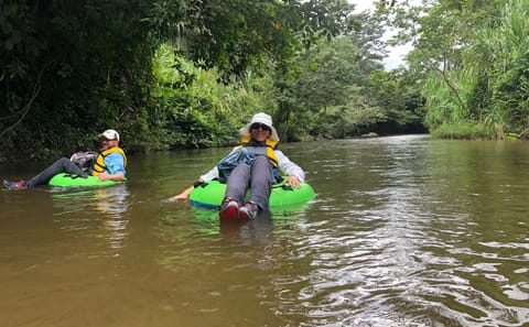 Hiking Adventure in Cockscomb Basin Nature Preserve, Belize