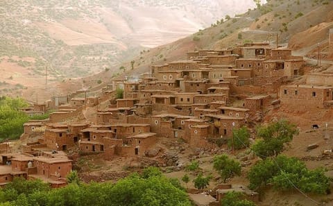 Atlas Mountains Day Trip with Traditional Lunch from Marrakesh
