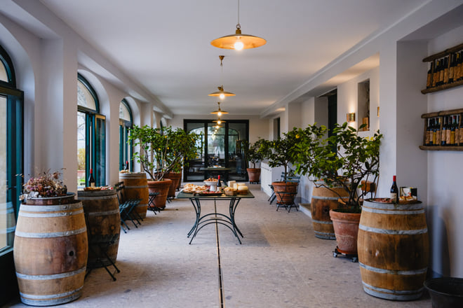 DISCOVERING MONTEMELINO - WINE EXPERIENCE BY LAKE TRASIMENO  - Photo 5