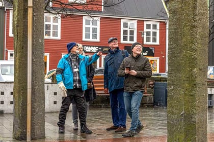 Puffins & People: A Reykjavik City & Boat Adventure