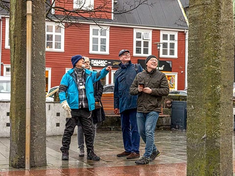 Reykjavik City Walk and Whales, photo 7