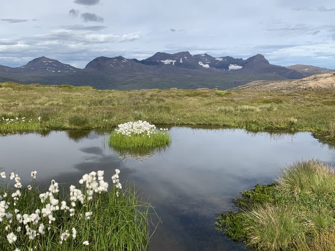 Private Super Jeep with driver guide, fits 10 passengers