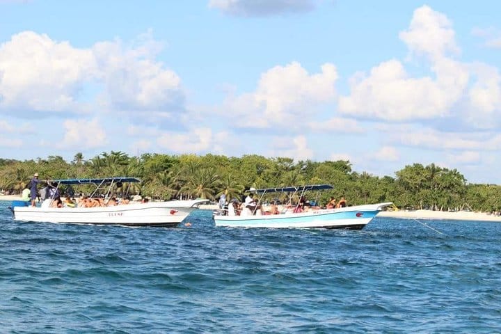 5 tours in 1 (Eco Farm/Horseback/City Tour/Buggy/Zipline)