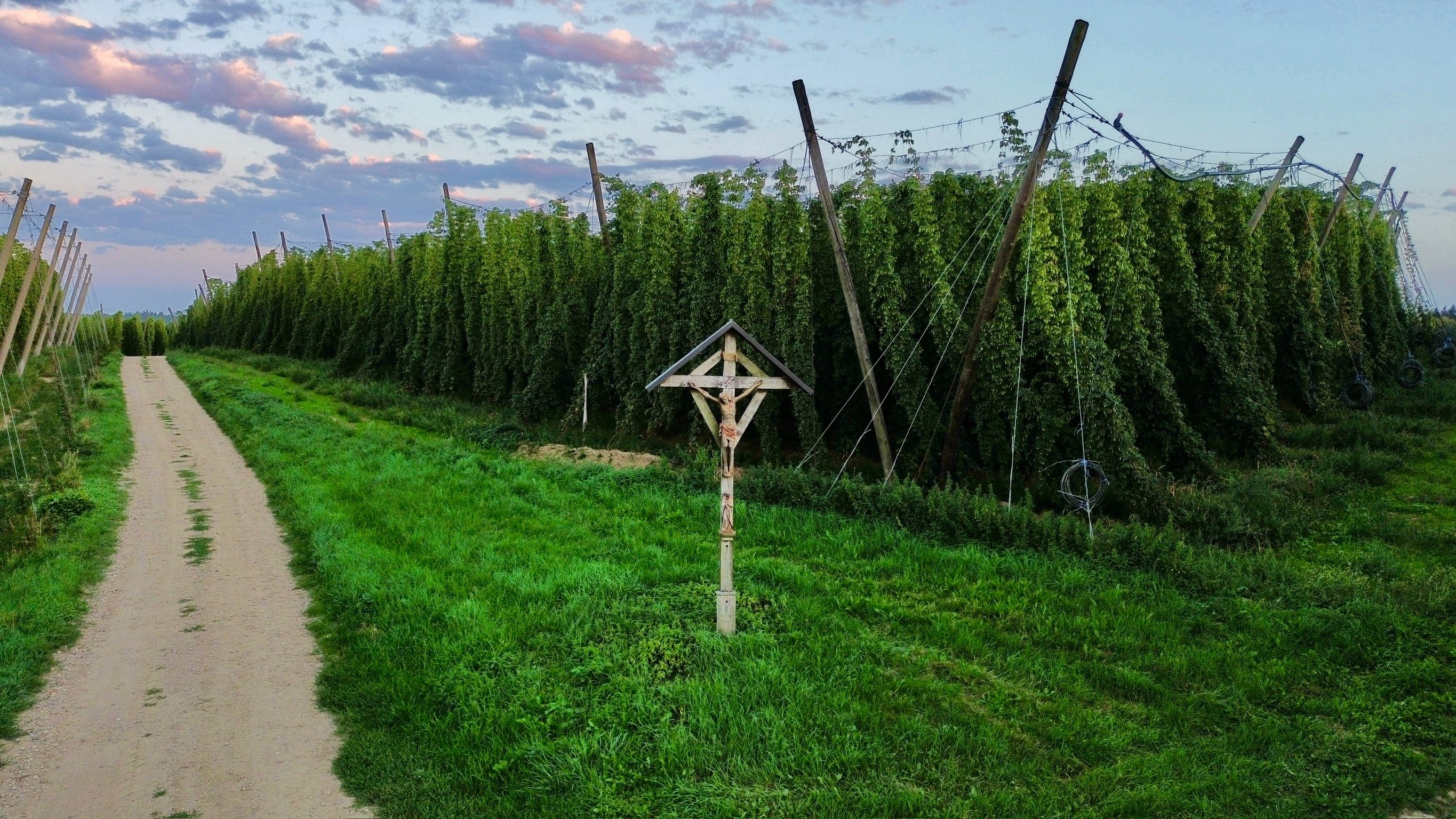 Feldkreuz Wandern