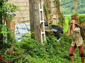 Full-Day Cultural Tour of Mai Chau from Hanoi
