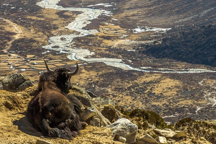 19 Days Mera Peak Climbing & Expedition – One Life-Changing Himalayan Adventure