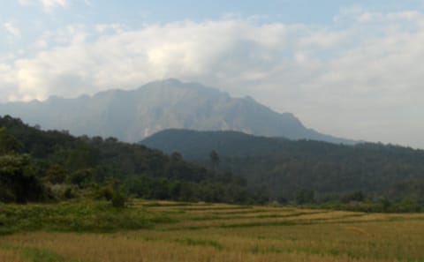 Full Day Off-Road Mountain Bike Tour in Chiang Dao