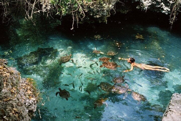 Mnemba Island, Nungwi Village & Sea Turtle Experience