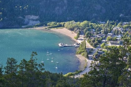 Horseback Riding Tour: Lanin National Park and Mapuche Culture