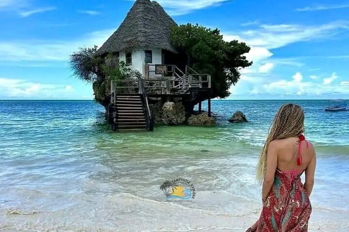 Zanzibar Prison Island, Jozani Forest and Salaam Cave Sea Turtles