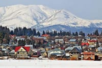 Bakuriani ski resort and the legendary Borjomi (Group Tour) 6