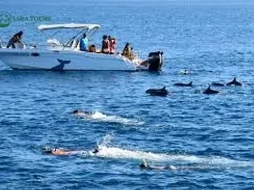 Escursione in motoscafo alla Casa dei Delfini – Hurghada