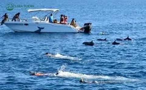 Escursione in motoscafo alla Casa dei Delfini – Hurghada