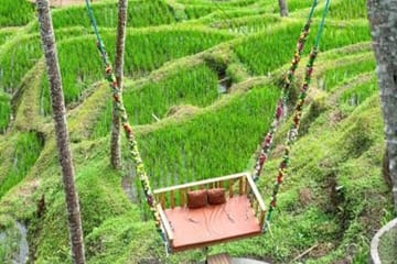 Bali 4 Days Guided Tour with Accommodation