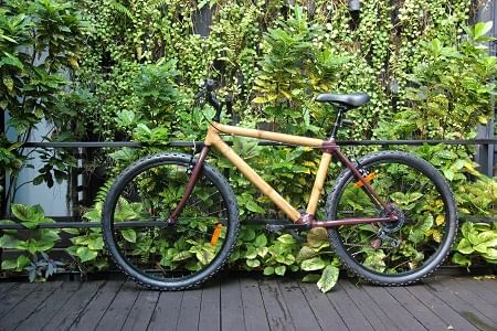 Our new hybrid bamboo bicycle called the Bambuckel.