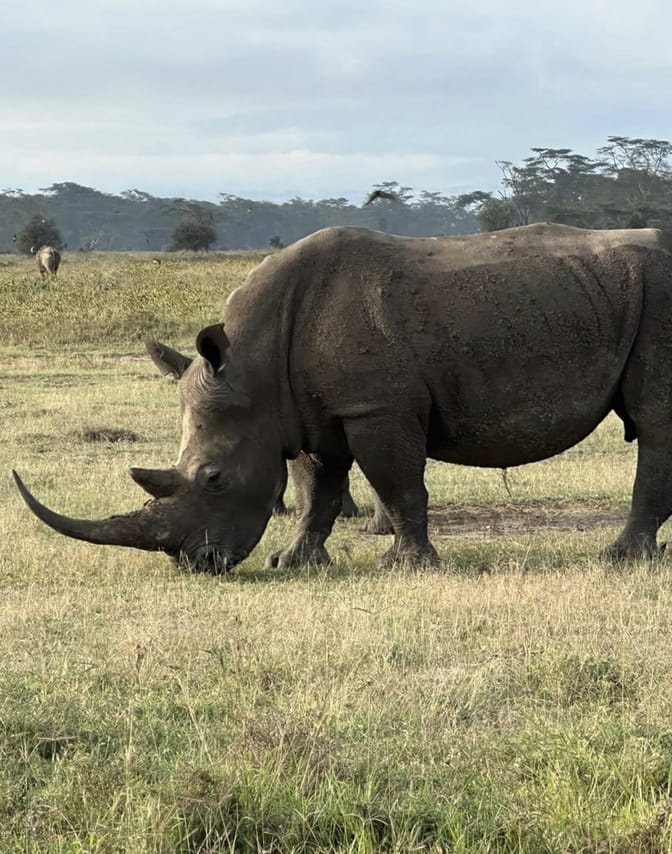 Day Trip To Lake Nakuru National Park 3