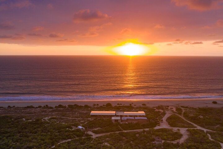Sunset beach Camel ride with Mexican Buffet and Tequila Tasting