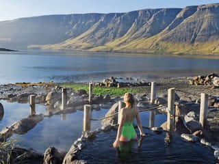 Reykjavik: Private Snaefellsnes Peninsula with Hvammsvik Hot Springs, photo 38