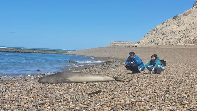 Full Day Tour to Punta Ninfas from Puerto Madryn 4
