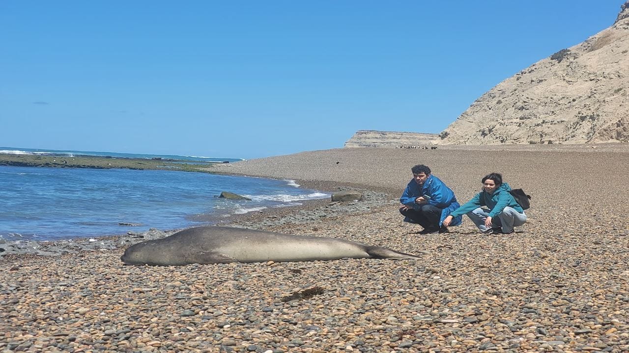 Full Day Tour to Punta Ninfas from Puerto Madryn 4