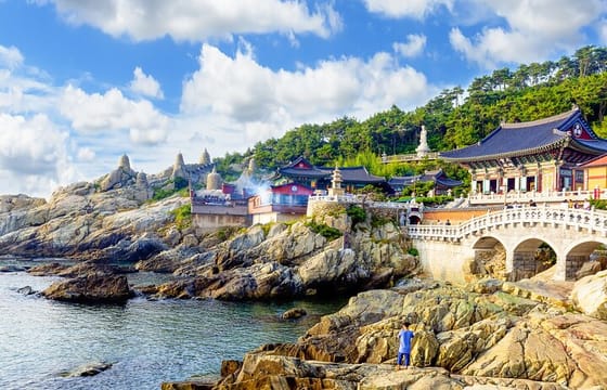 5D Private Korea Cherry blossom tours in Seoul Busan Nami Sokcho