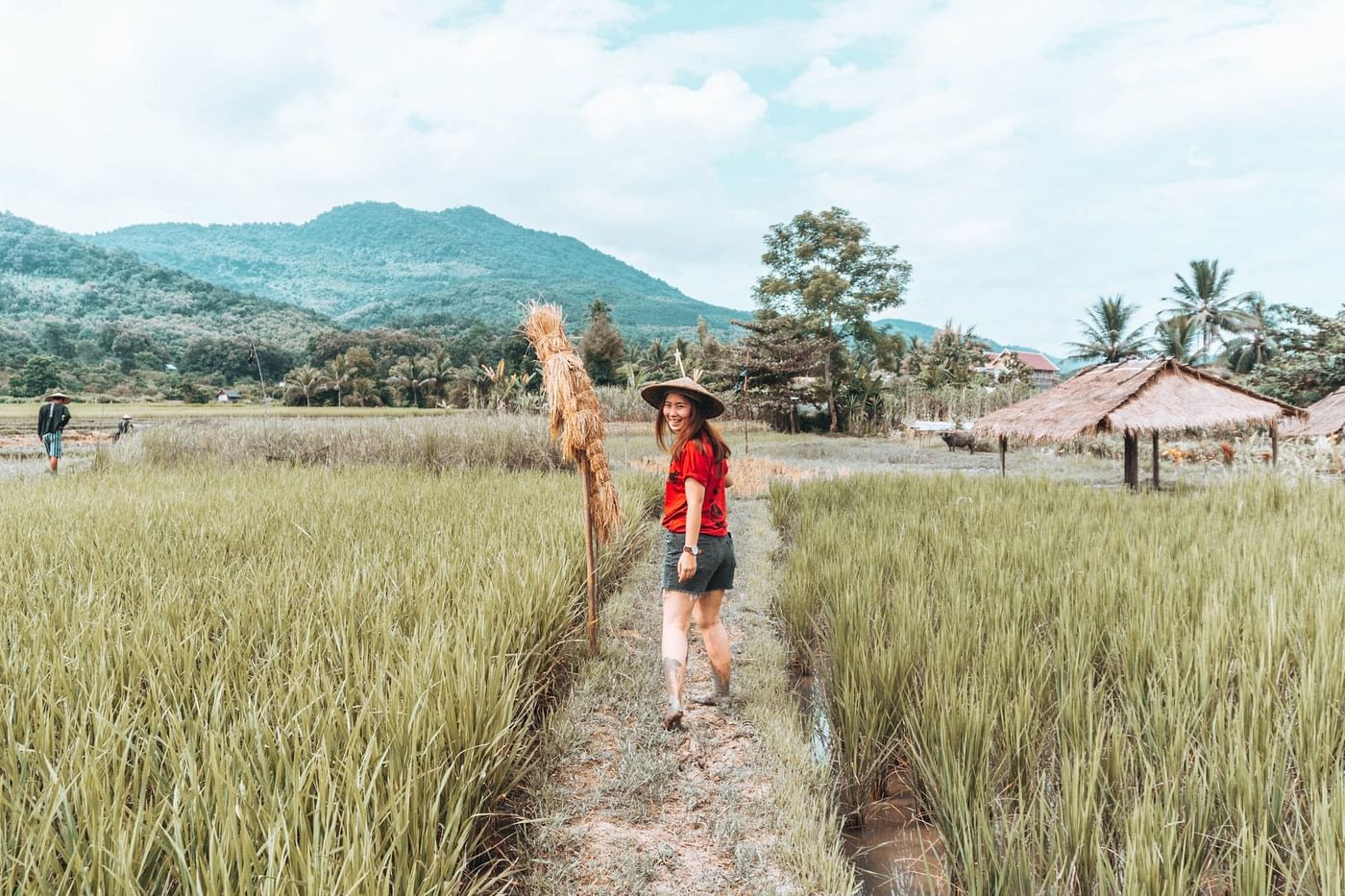 Hands-On Rice Cultivation Experience in Luang Prabang