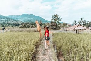 Half-Day Hands-On Rice Learning Experience