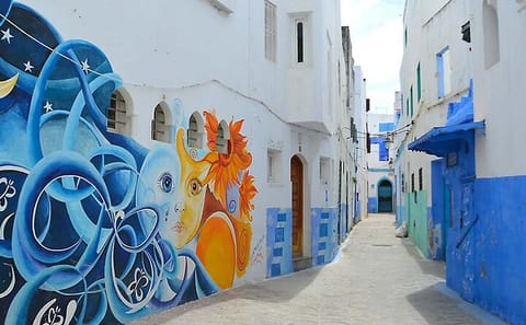 Asilah Coastal Tour and Scenic Sightseeing in Tangier