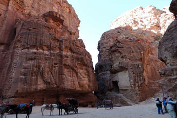 Petra Day Tour from Amman with Guided Exploration