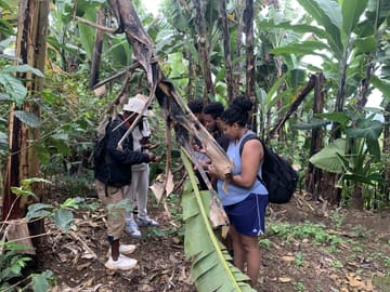 Private Full-Day Materuni Waterfall, Coffee and Hot-spring Tour in Moshi