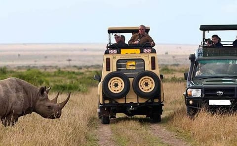8-Day Private Safari Adventure in Kenya and Tanzania