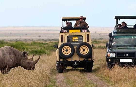 8-Day Private Safari Tour of Kenya and Tanzania from Nairobi