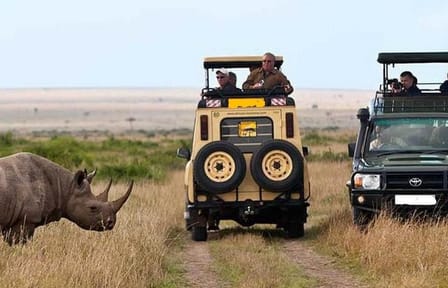 8-Day Private Safari Adventure in Kenya and Tanzania