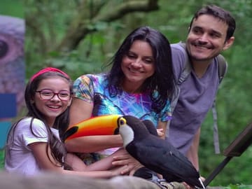 Interact with the amazing birds