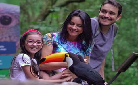 Iguazu Falls Brazilian Side and Bird Park Tour from Puerto Iguazú