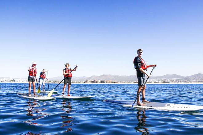 Stand up paddle group los cabos sea of cortez cabo san lucas sup tour beginners paddle boarding cabo ocean activity baja california sur
