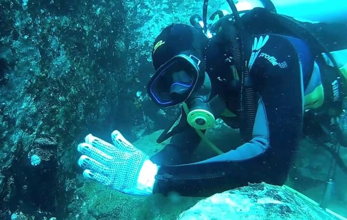 3 Hour Guided Scuba Diving in Trincomalee