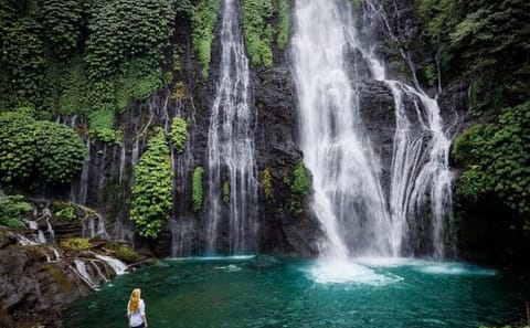 Private Nature Tour of Beratan Lake and Banyumala Waterfall