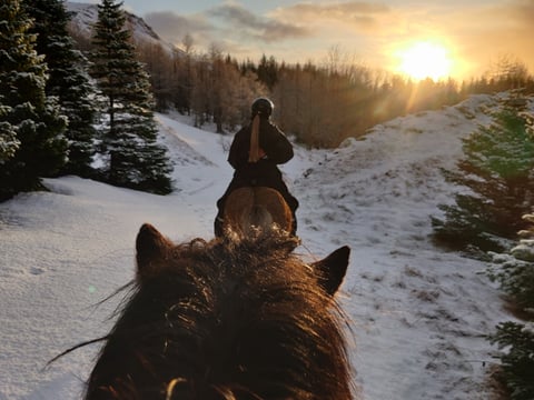 03C - Horses and Hot Springs, photo 2
