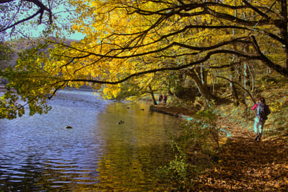 Private Plitvice Lakes National Park Tour – from Zadar