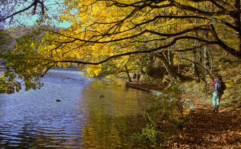 Private Day Trip to Plitvice Lakes National Park from Zadar