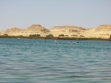 10-Day Private Safari and Antiquities Tour in Cairo