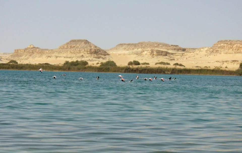 10-Day Private Safari and Antiquities Tour in Cairo