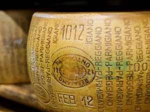 Parmesan Cheese Tour & Tasting near Modena